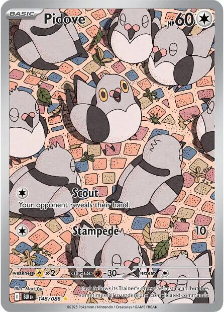 Pidove 148/086 Holofoil — Black Bolt Pokémon card