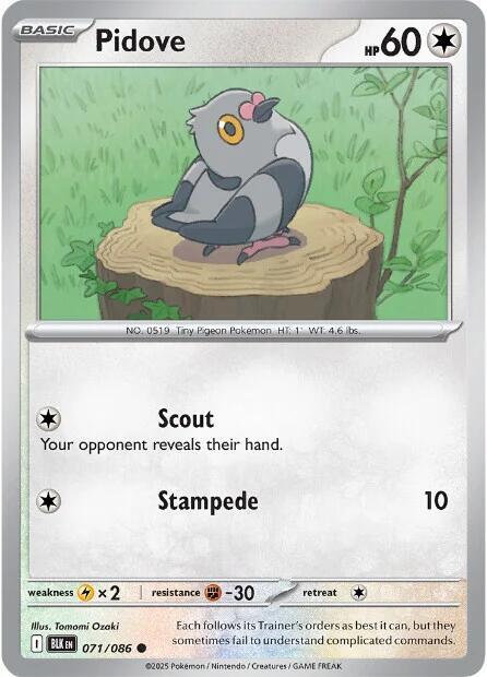 Pidove 071/086 Reverse Holofoil — Black Bolt Pokémon card
