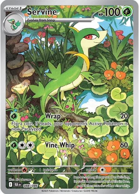 Servine 088/086 Holofoil — Black Bolt Pokémon card