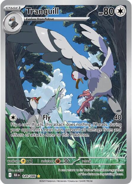 Tranquill 149/086 Holofoil — Black Bolt Pokémon card