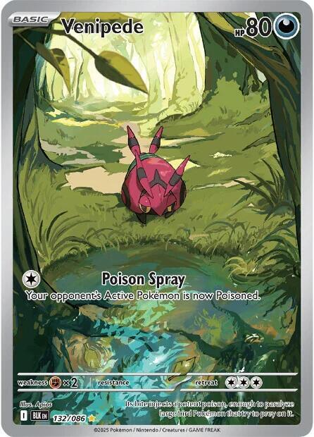 Venipede 132/086 Holofoil — Black Bolt Pokémon card