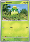 Smoliv 021/182, Destined Rivals Pokémon card