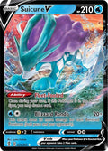 Suicune V 031/203 Holofoil, Evolving Skies Pokémon card