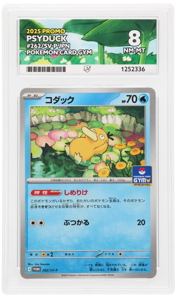 Psyduck 262/SV-P Promo Ace Grading 8, close-up front view of the certified slab