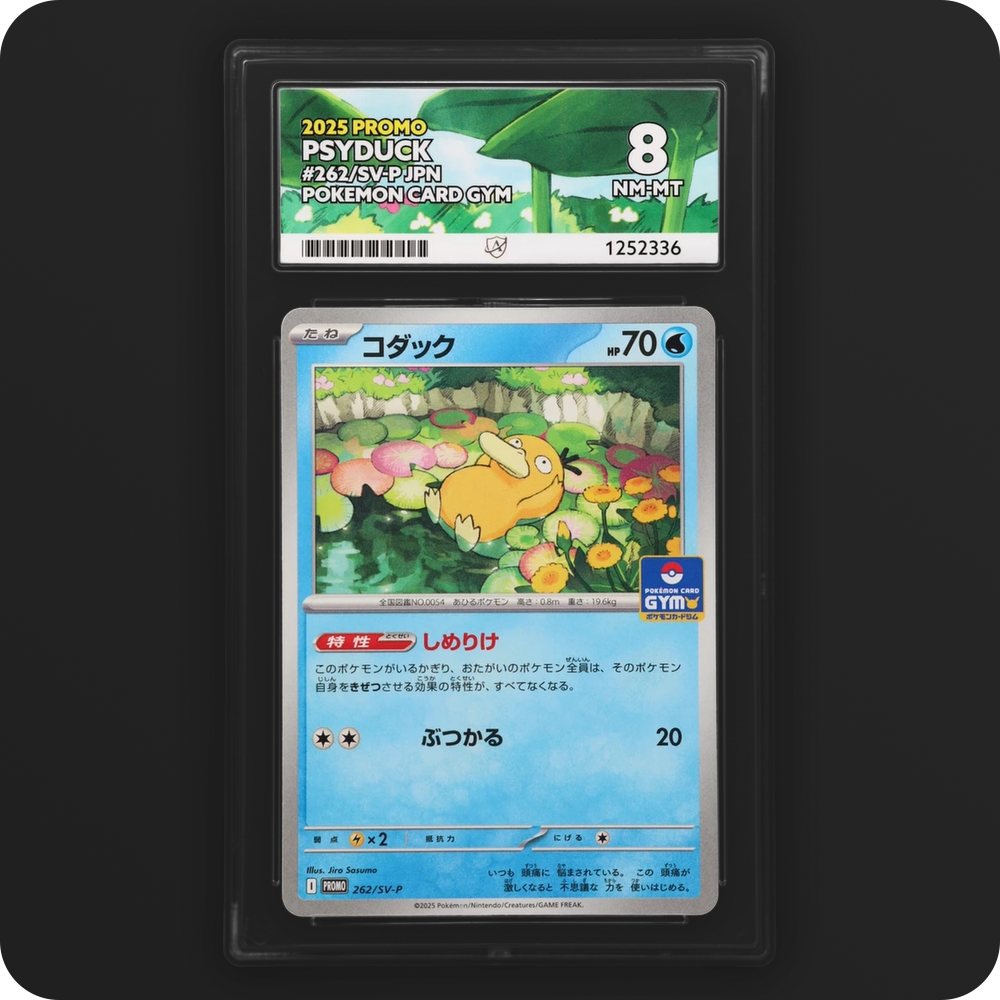 Psyduck 262/SV-P Promo Ace Grading 8, front of the graded slab