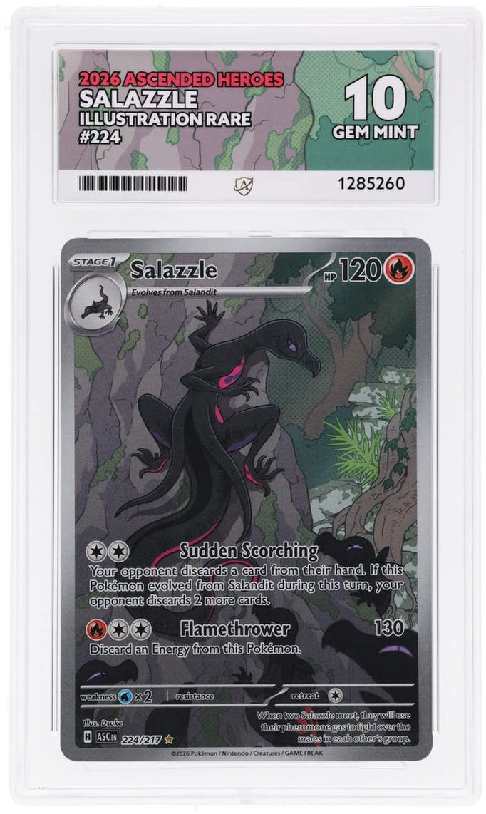Salazzle 224/217 Ascended Heroes Ace Grading 10, close-up front view of the certified slab