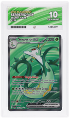 Serperior ex 156/086 Black Bolt Ace Grading 10 — close-up front view of the certified slab
