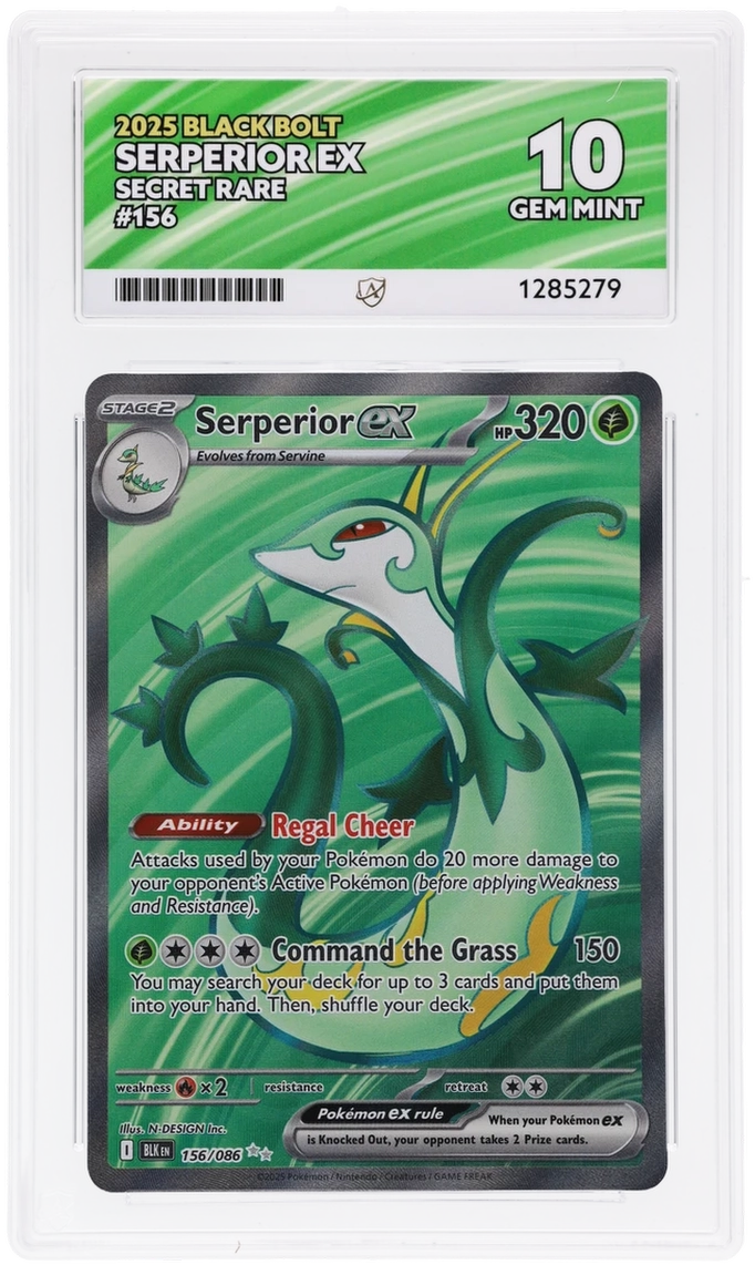 Serperior ex 156/086 Black Bolt Ace Grading 10 — close-up front view of the certified slab