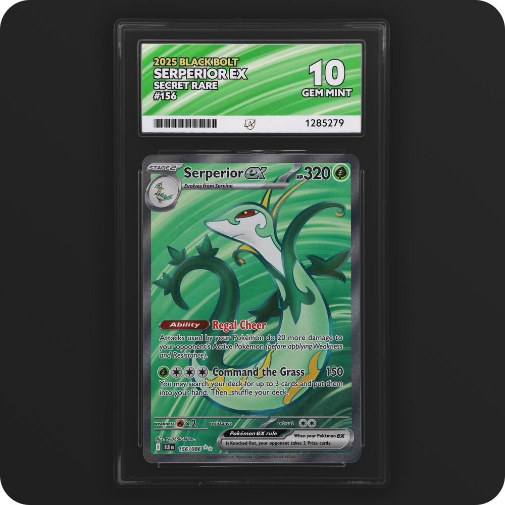 Serperior ex 156/086 Black Bolt Ace Grading 10 — front of the graded slab