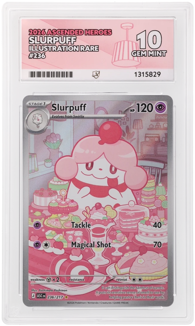 Slurpuff 236/217 Ascended Heroes Ace Grading 10, close-up front view of the certified slab
