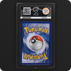 Squirtle 039 Black Star Promo Ace Grading 10 — back of the graded slab