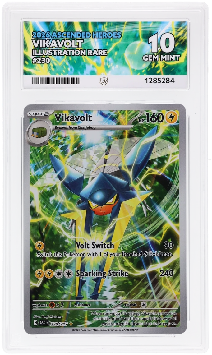 Vikavolt 230/217 Ascended Heroes Ace Grading 10 — close-up front view of the certified slab